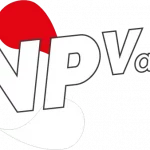 LOGO_NPV_NEGATIVO